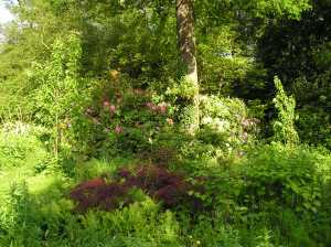 Biodiversity in Cannizaro Park, south-west London